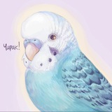 Telegram profile photo for k᧘ᥱᴛκᥲ чᥙρuκᥲ