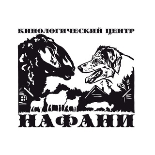 Telegram profile photo for Нафани. Пастьба и Аджилити.