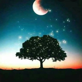 Telegram profile photo for • طـاقـة تـفـاؤل •