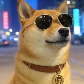 Telegram group profile photo for PumpSwapLP