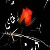 Telegram profile photo for خاطرات زندان و جانباختگان
