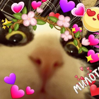 Telegram profile photo for ~🍬Ирисковый беспредел🍬~