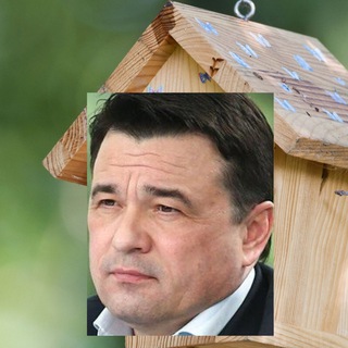 Telegram profile photo for Скворечник Воробьева: Топ Подмосковья