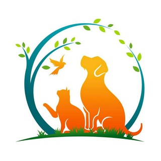 Telegram profile photo for Бравекто💊/Симпарика/Animal Healer