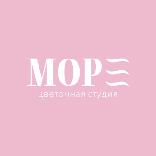 Telegram profile photo for МОРЕ цветочная студия