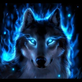 Telegram profile photo for The blue wolf