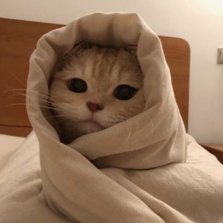 Telegram profile photo for IOS Mpale