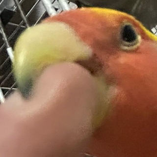 Telegram profile photo for Пиксельный беспорядок 🌻