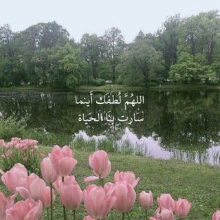 Telegram profile photo for ذكر