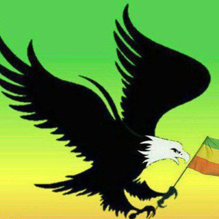 Telegram profile photo for ንስር ሚዲያ-(Nisir Media)