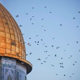 Telegram profile photo for الكتاب و الحكمة