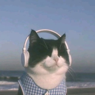 Telegram profile photo for velvetdr3am