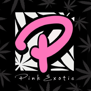 Telegram profile photo for Pink Exotic
