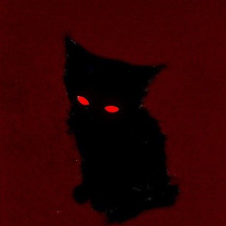 Telegram profile photo for 𓏺𓏺 In another life •