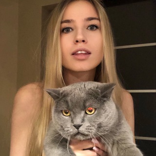 Telegram group profile photo for Mangusta Chat