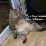 Telegram profile photo for πππ ππππππππ πππππππππππ