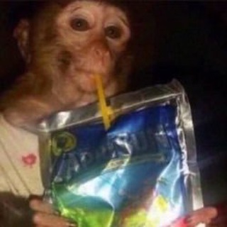 Telegram profile photo for Caprisun Monkey
