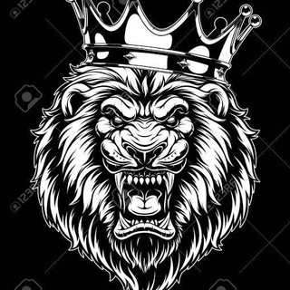 Telegram profile photo for Forex King