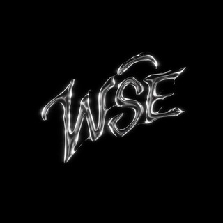 Telegram profile photo for WSE