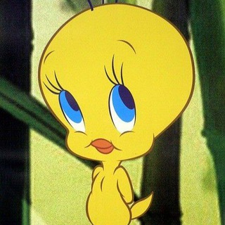 Telegram profile photo for صَبارة