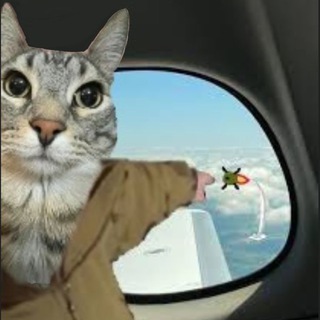 Telegram profile photo for Мысли Нирка