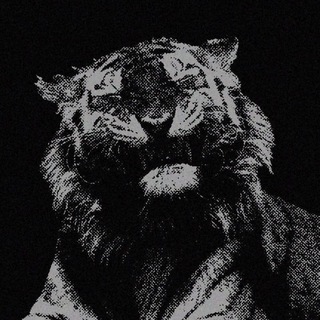 Telegram profile photo for Bored.
