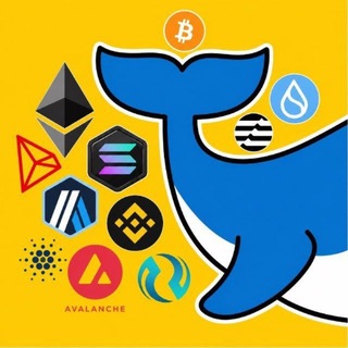 Telegram profile photo for Mr. WHALE CALL 🐳