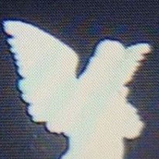 Telegram profile photo for Kourosh ranjbar-e
