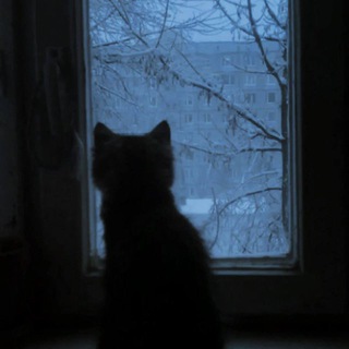 Telegram profile photo for let down