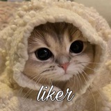Telegram profile photo for мур няв лайкер 😽