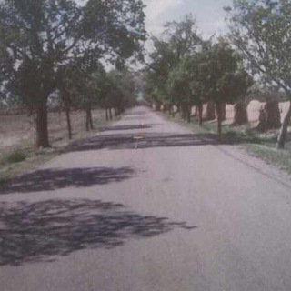 Telegram profile photo for کانال خبری دودهک