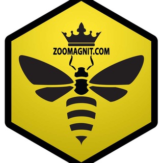 Telegram profile photo for Zoomagnit.com - ШОП (пчеломагазин)