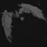 Telegram profile photo for nov001 #r4