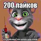 Telegram profile photo for ненуето переходник