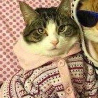 Telegram profile photo for я (этивон) мила༺⋆❀ﻩ.⋆࿐ྂ