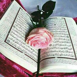 Telegram profile photo for فِى ظِــلالِ القُرْآن .