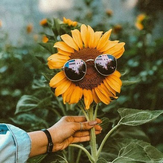 Telegram profile photo for آفتابگردونی