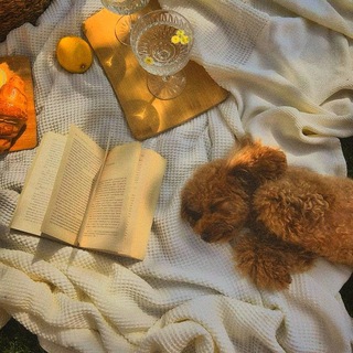 Telegram profile photo for дом _КуШиКсА🍪🍂🍁