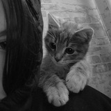 Telegram profile photo for Настюша🖤🤫
