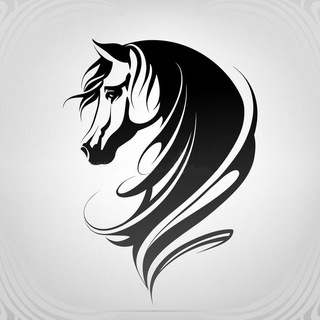 Telegram profile photo for 彩票数据 体育 体彩数据 柬埔寨 DPI 电销 一手渠道