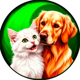 Telegram profile photo for Забавные животные
