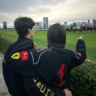 Telegram profile photo for Pov