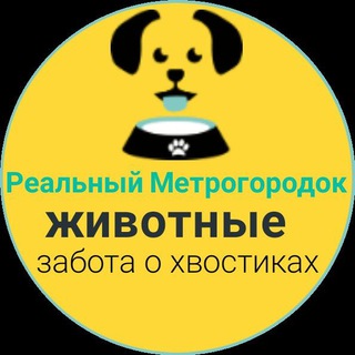 Telegram profile photo for Реальный Метрогородок_Dogs