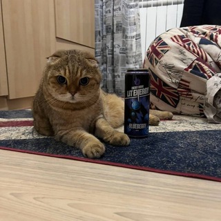 Telegram profile photo for bio