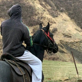 Telegram profile photo for Исламский вестник🤍