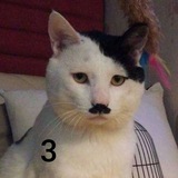 Telegram profile photo for 3