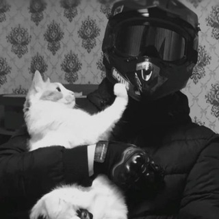 Telegram group profile photo for صيادي