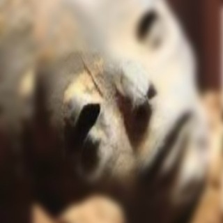 Telegram profile photo for fullnxva