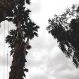Telegram profile photo for أبولو