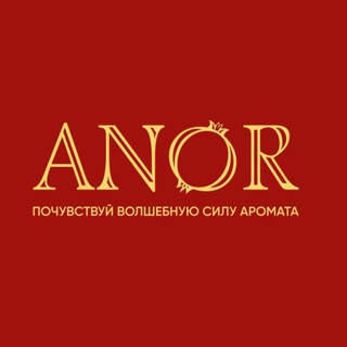 Telegram profile photo for ANOR